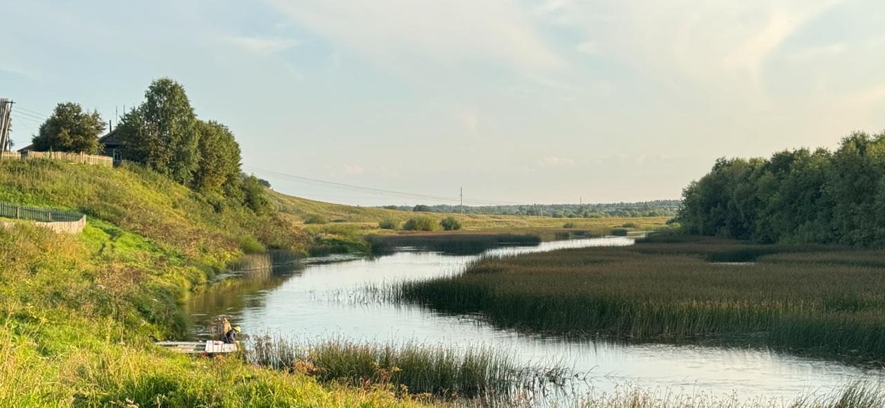 Фото Викинг