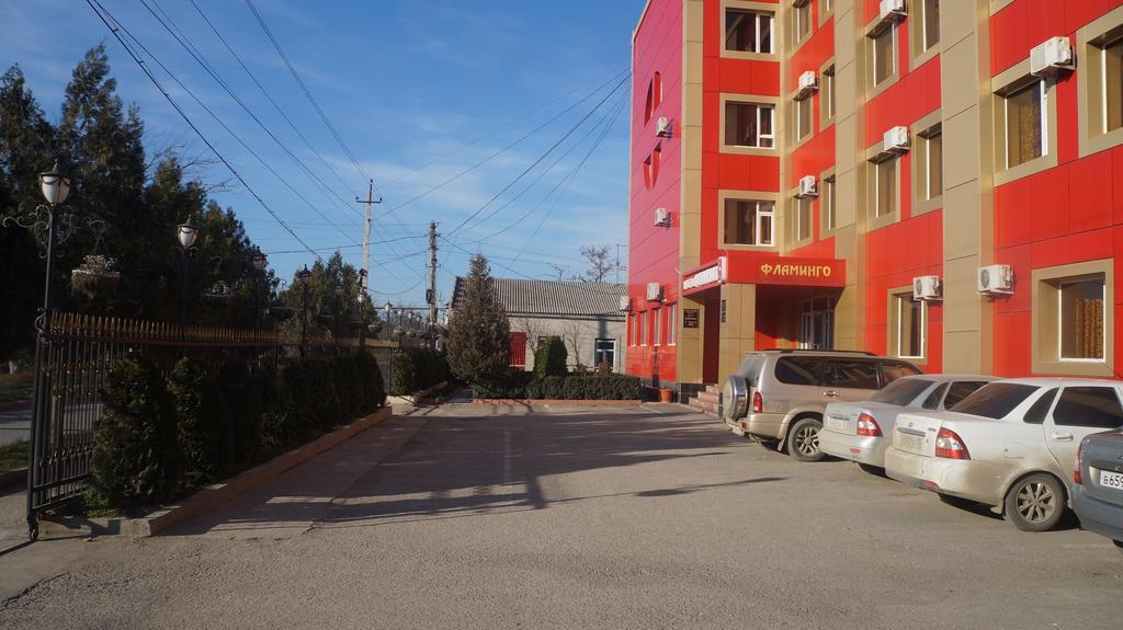 Фото Фламинго