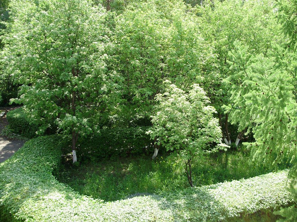 Фото Бараба