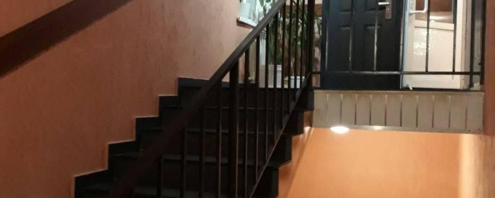 Фото Дружба