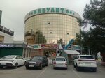 Lazy Cat (Buqar Jıraw Avenue, 53/1) ، التصوير الفوتوغرافي