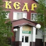 Фото Кедр