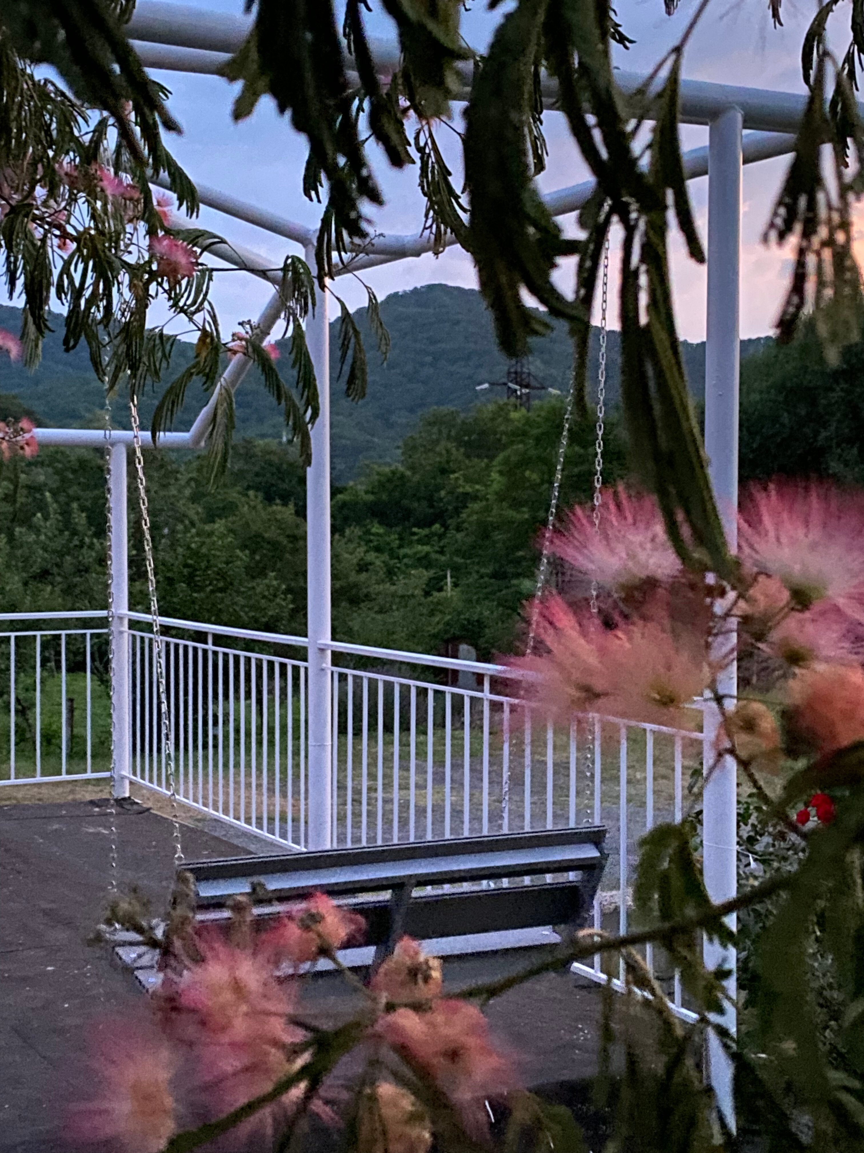 Фото Отрада