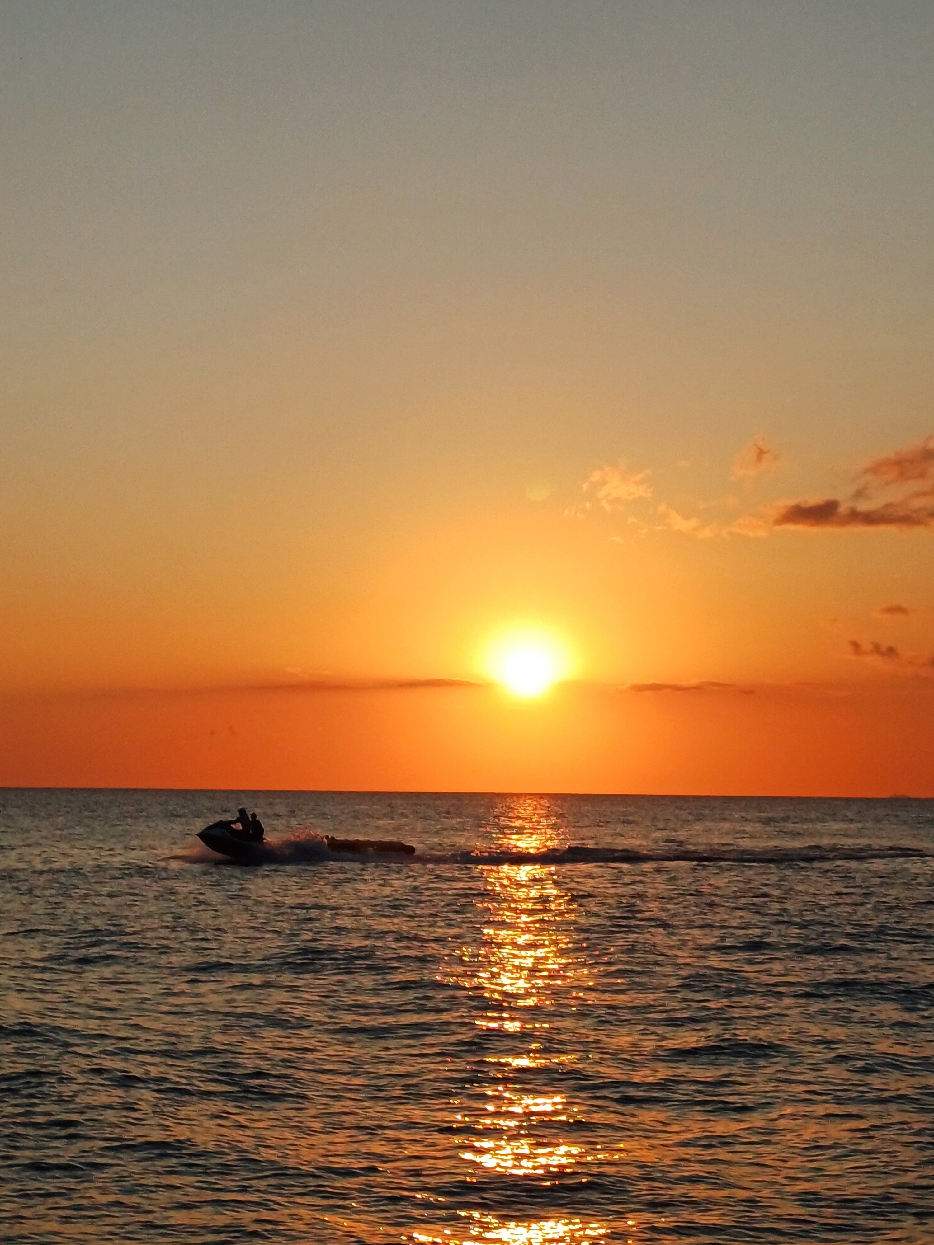 Фото Династия