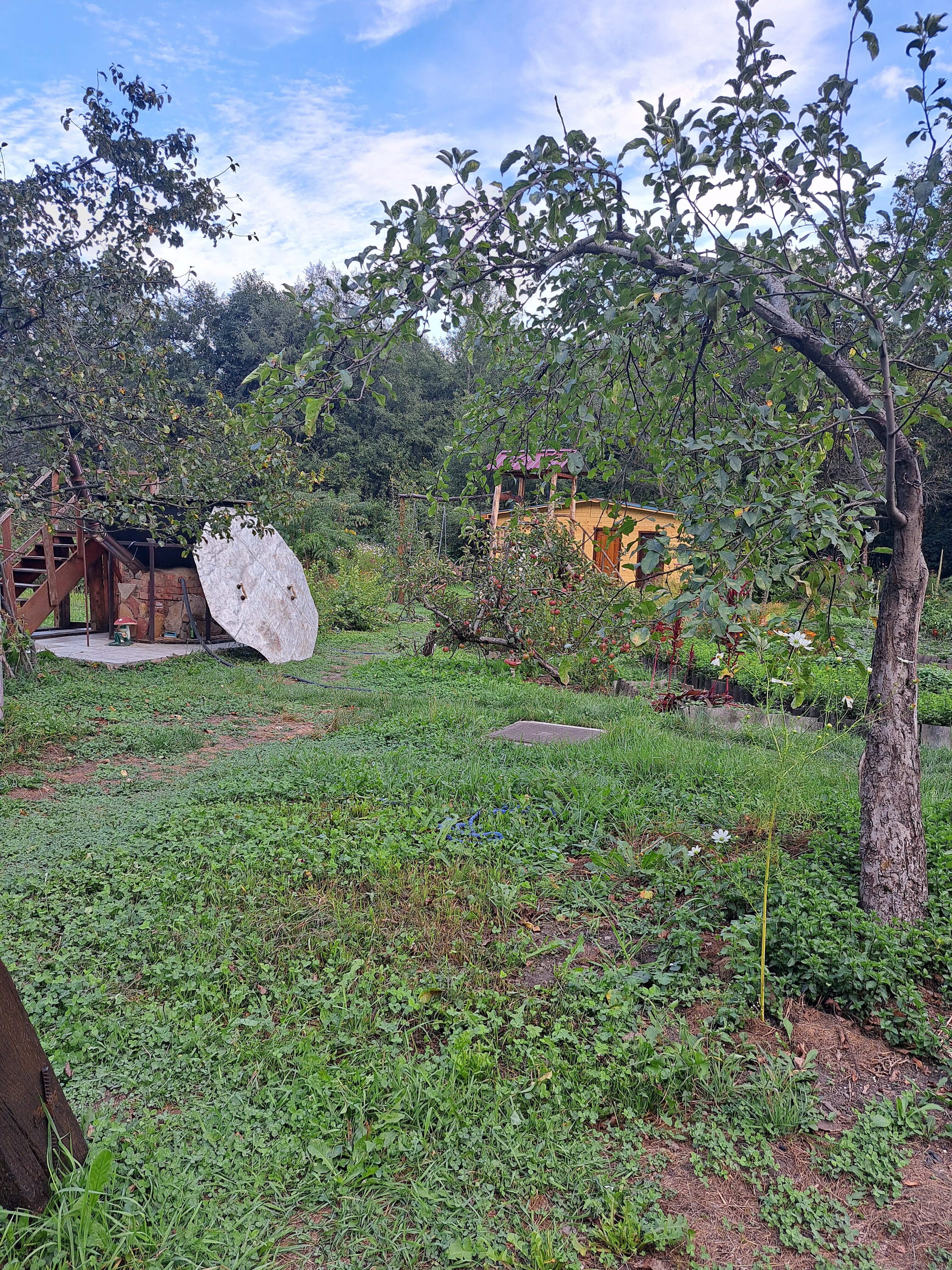 Фото Четыре сезона