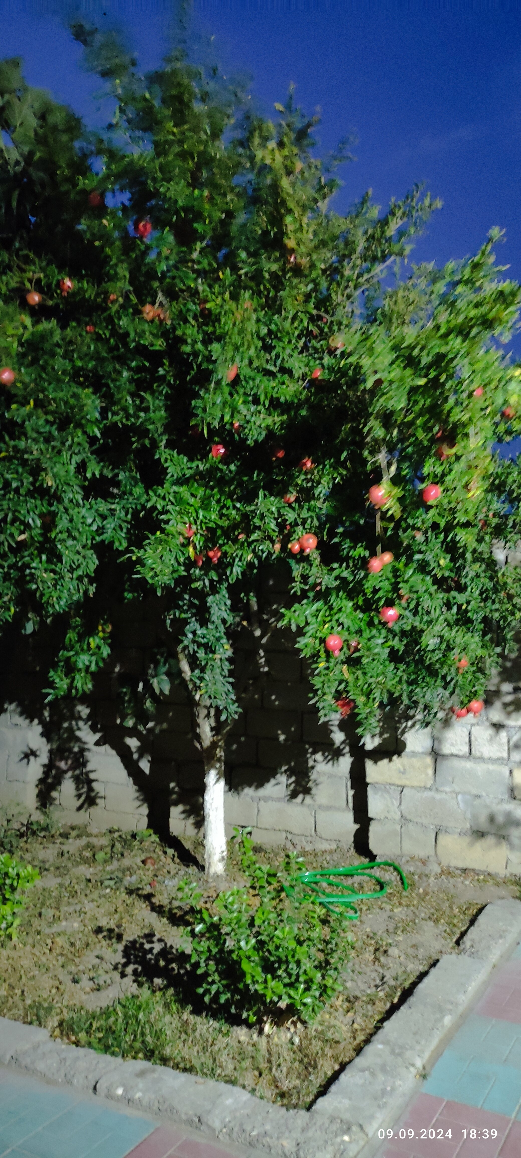 Фото Отдых в домике на берегу моря в Дербенте