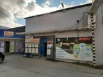 Белоречье (Chernyshevskogo Street, 66к4), grocery