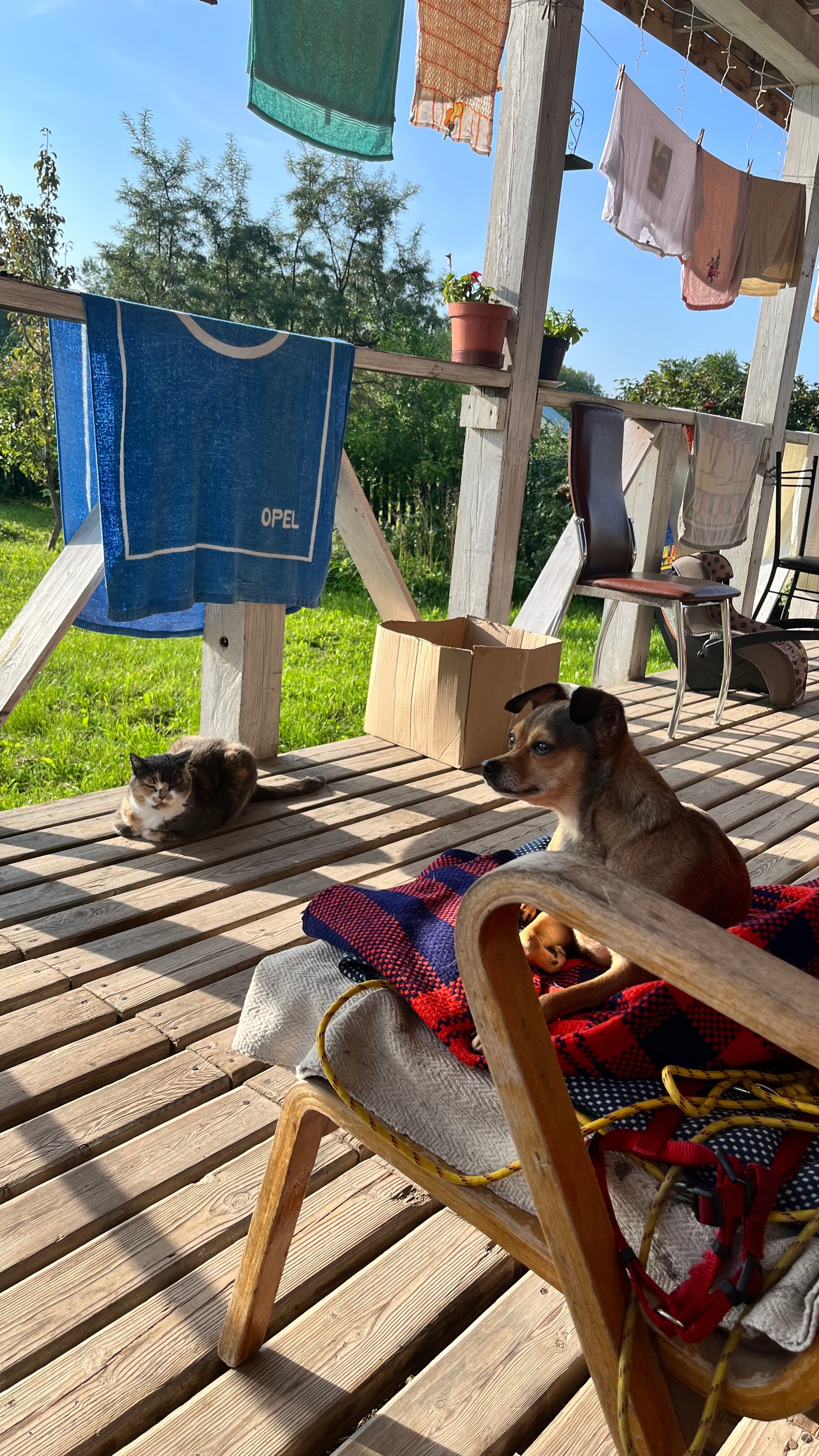 Фото Акуловка