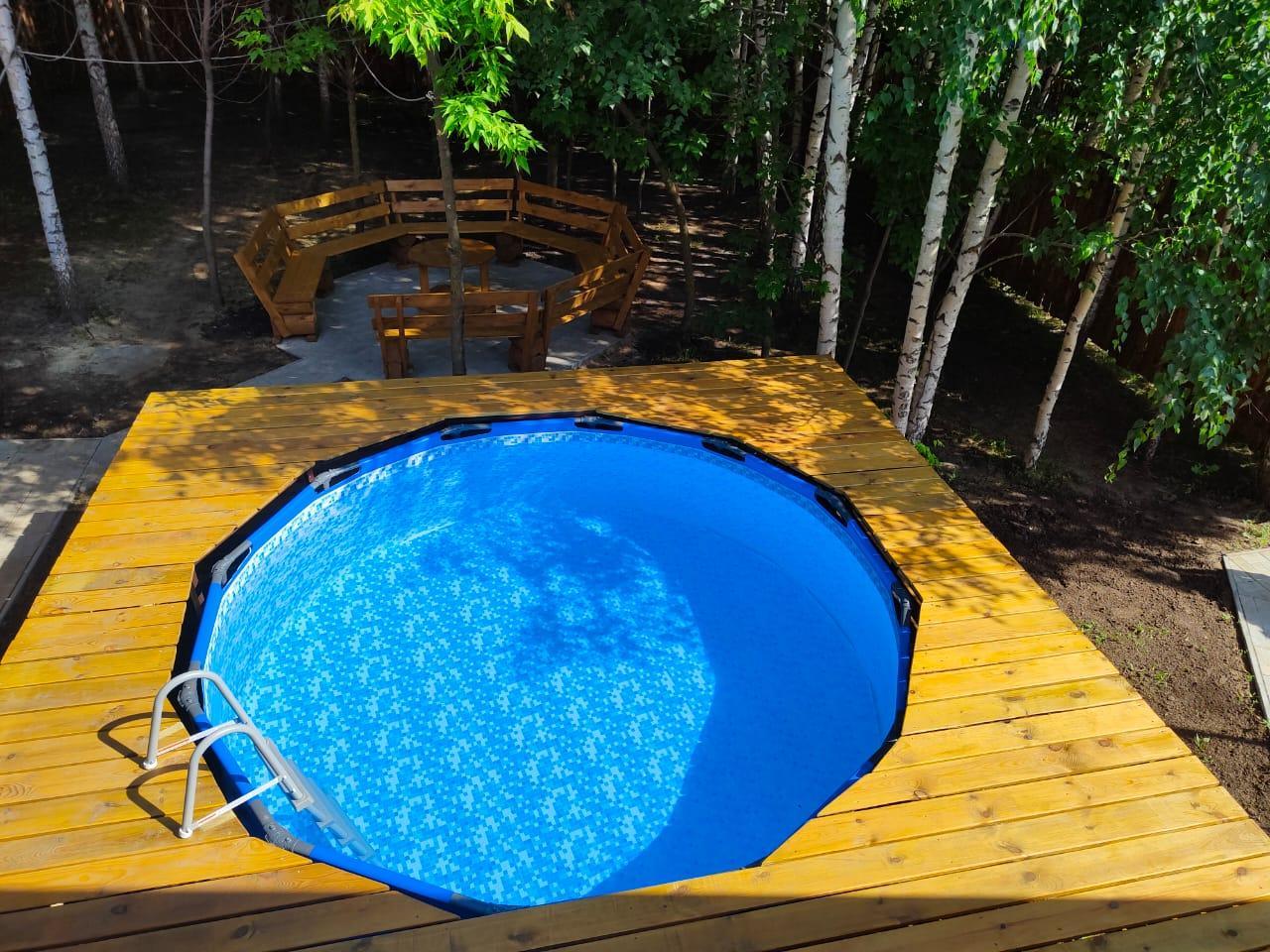 Фото Подсолнух