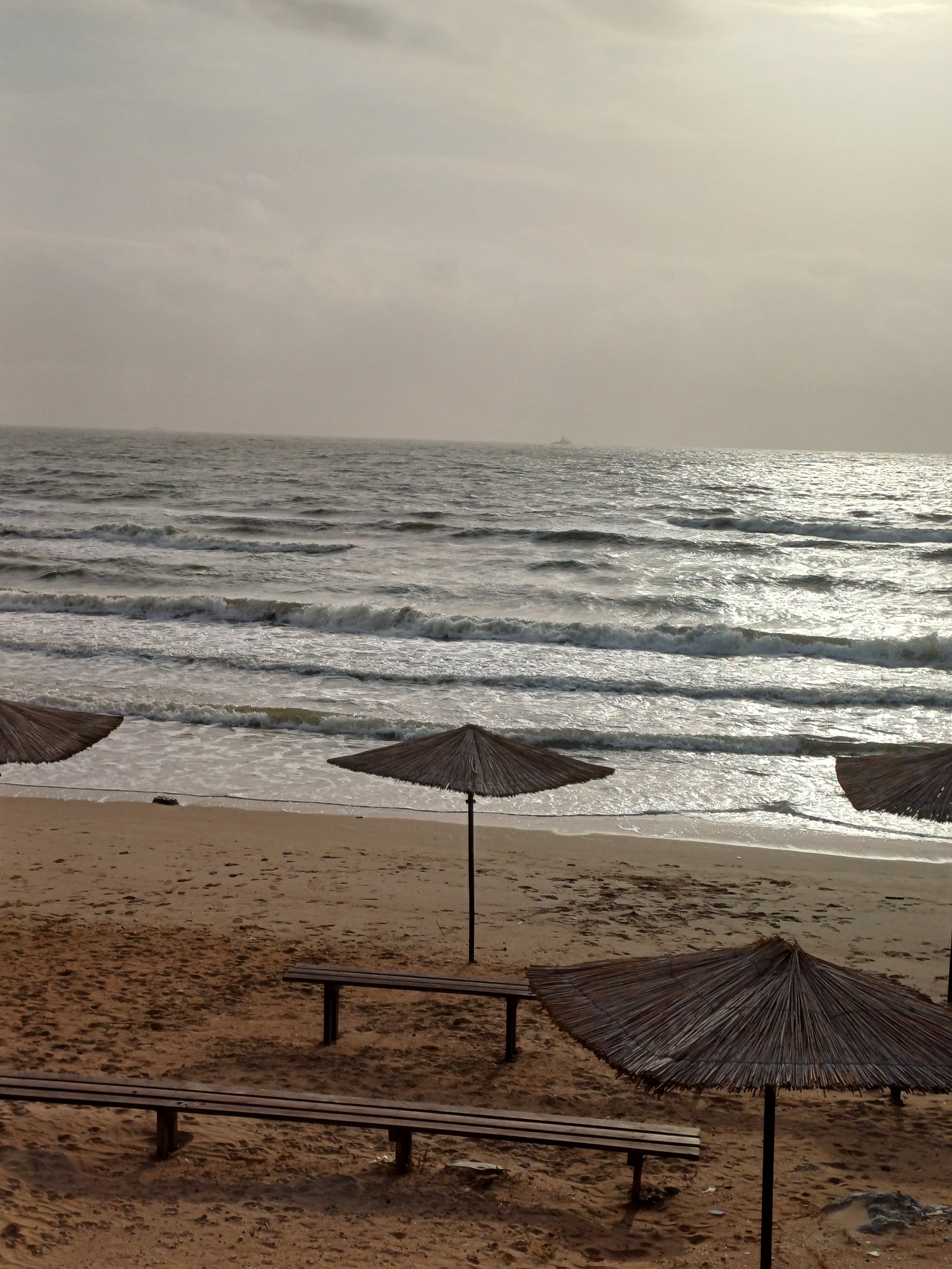 Фото Семейный