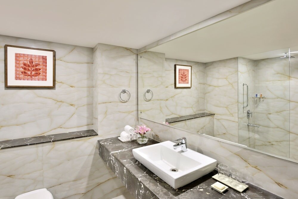 Фото Radisson Srinagar