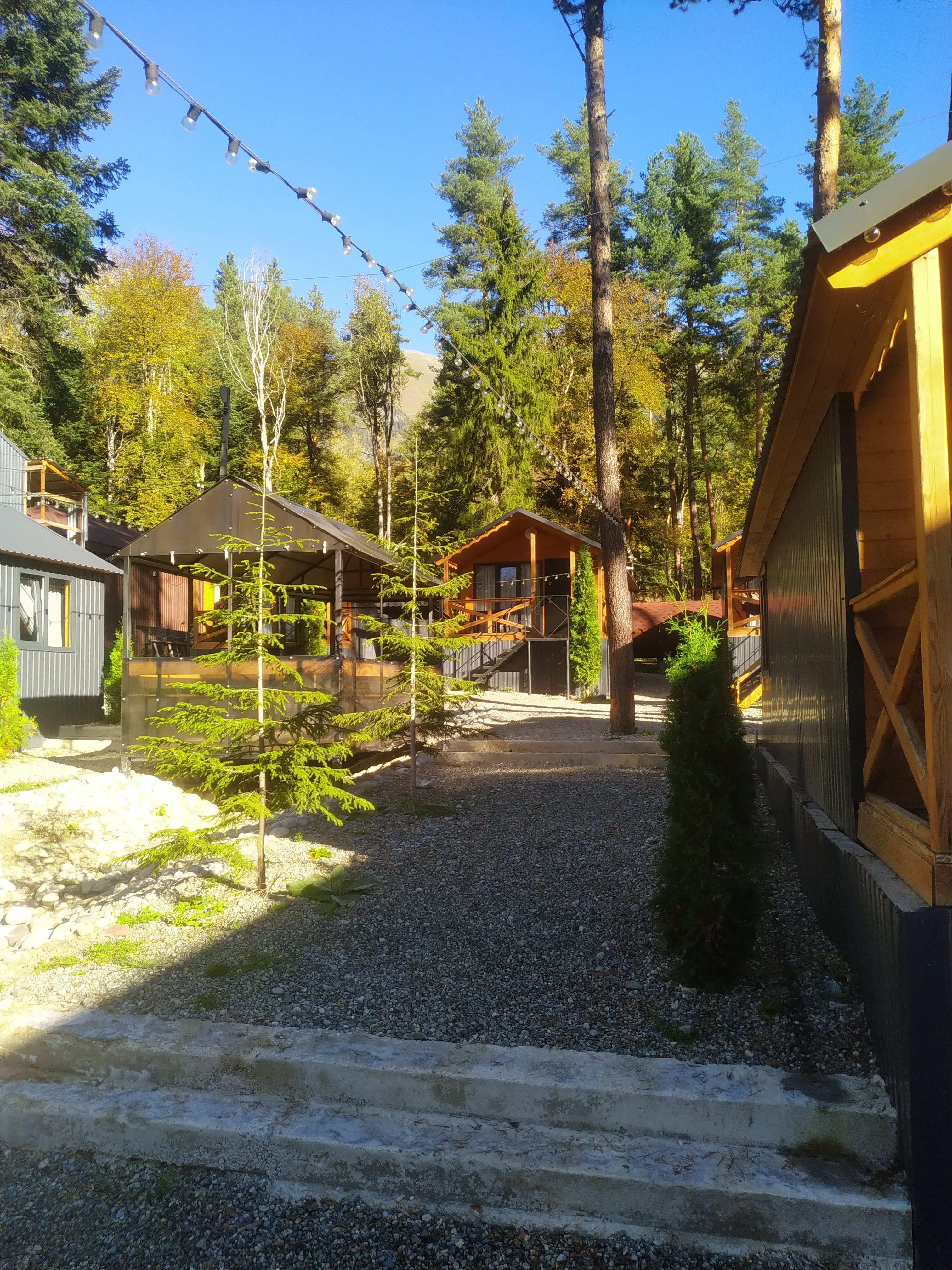 Фото Сосновка