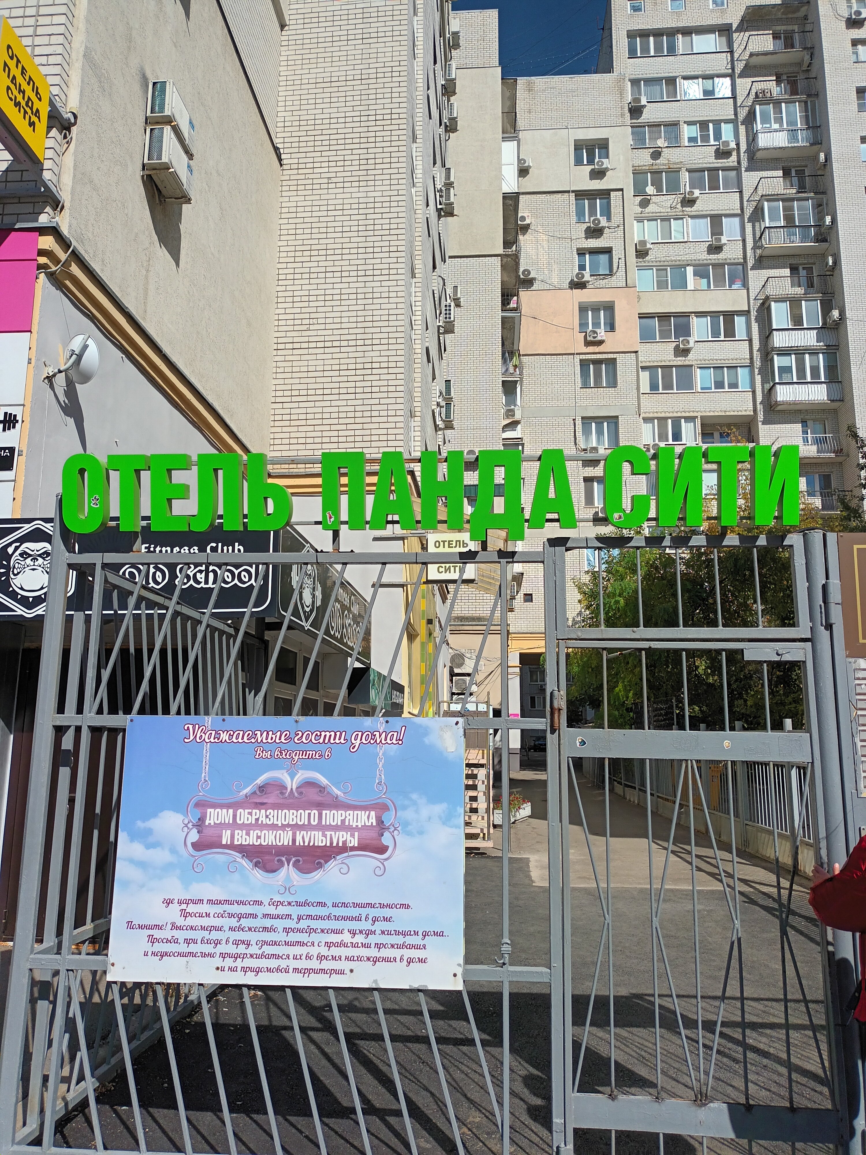 Фото Панда Сити