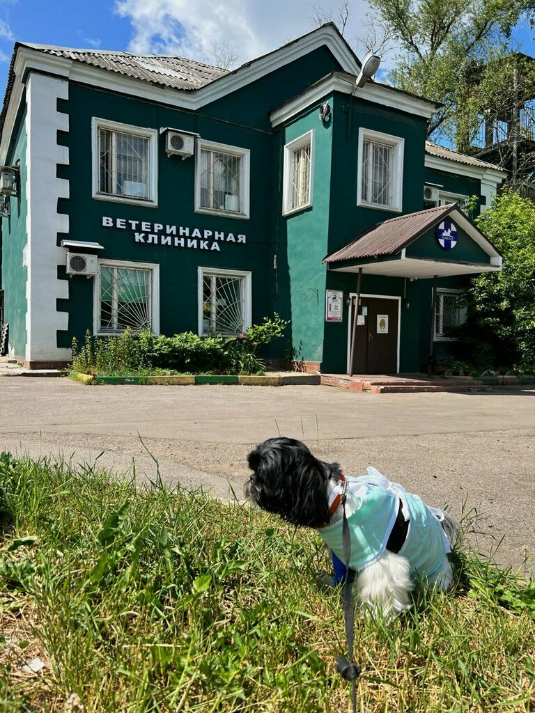 Veterinary clinic Ideal, Mytischi, photo