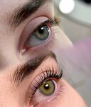 Brows Anisa (Lobnenskiy bulvar, 12), eyebrow and eyelash salon