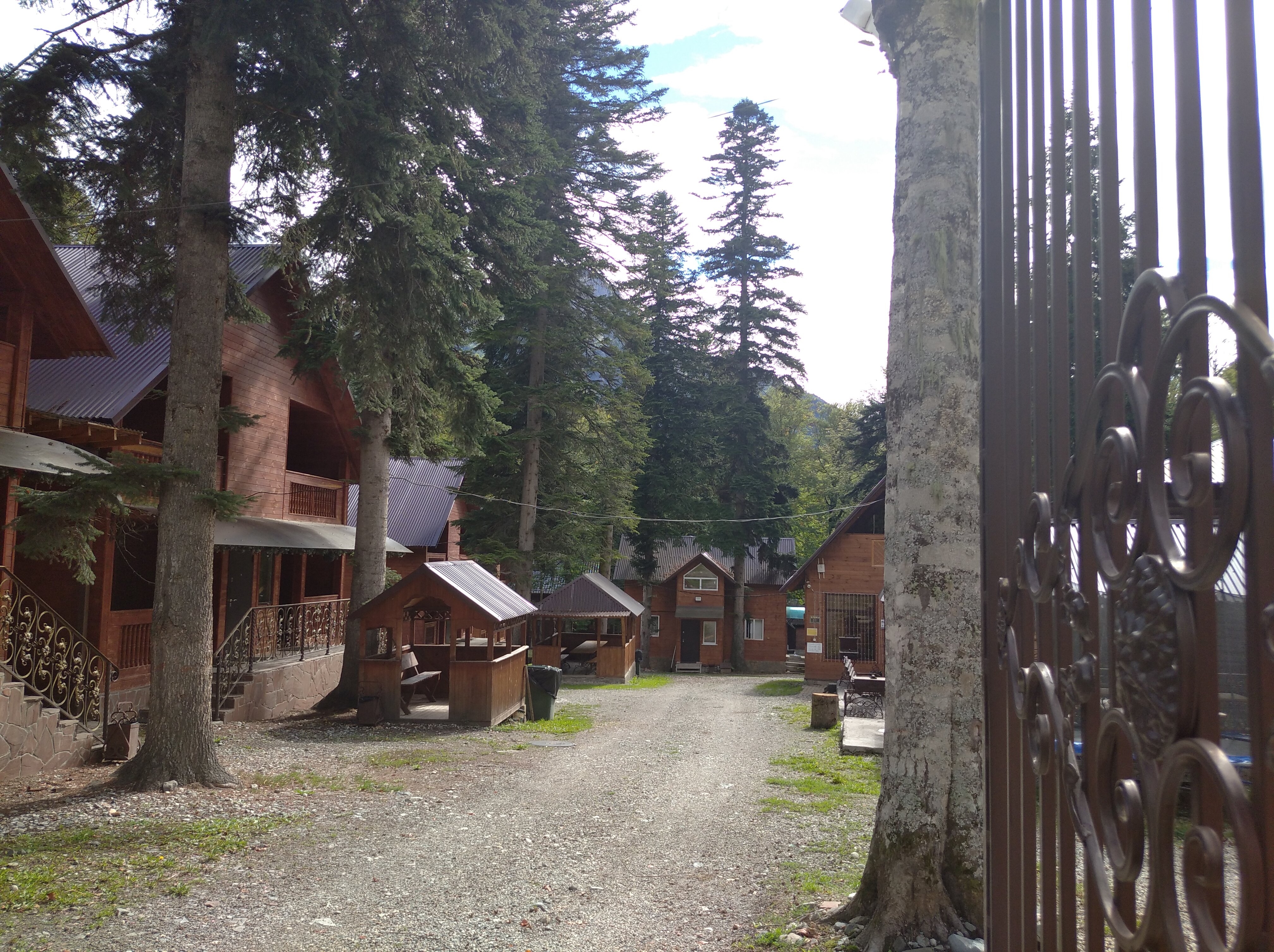 Фото Forest Yard