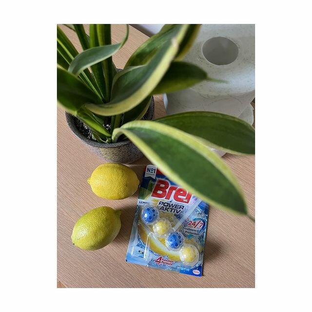 Laundry Henkel, Izmir, photo