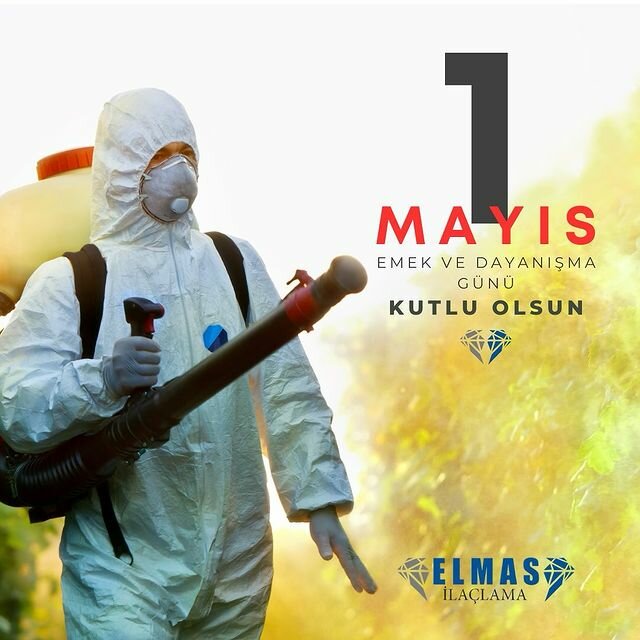 Disinfection, disinsection, deratization Diamond Pest Control, Istanbul, photo