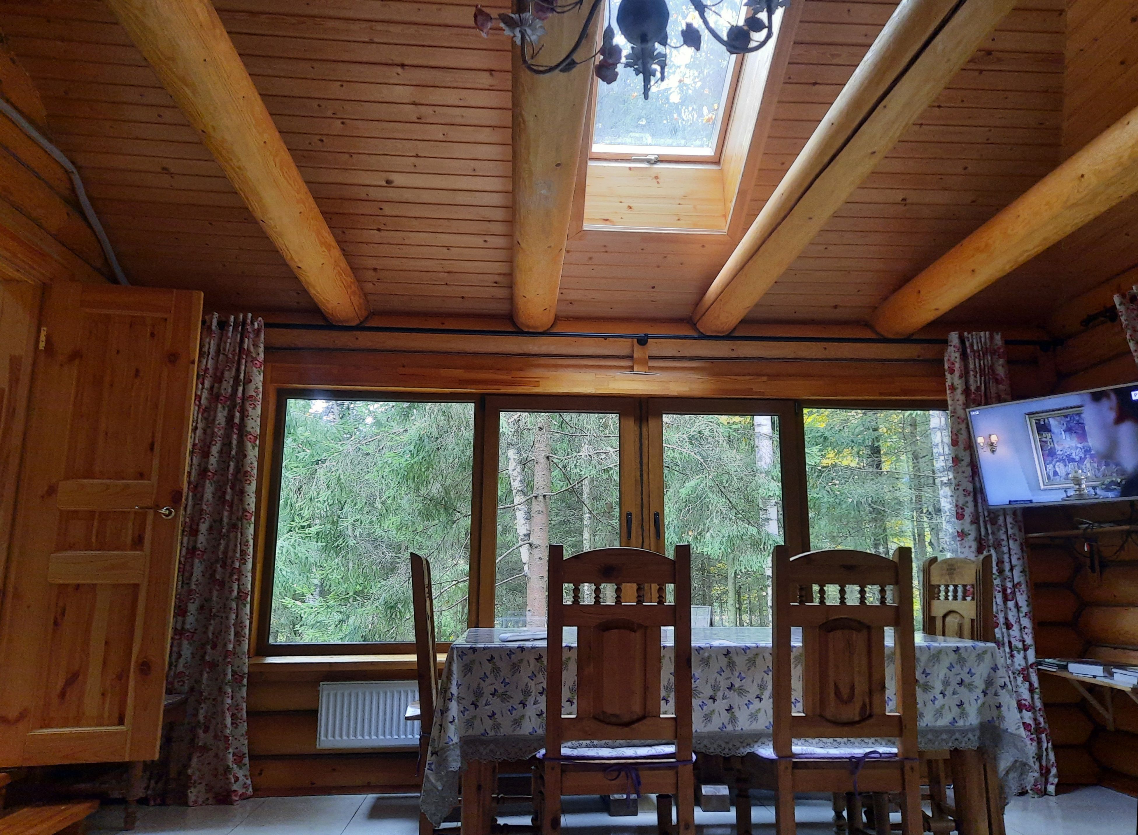 Фото Дикий Лис