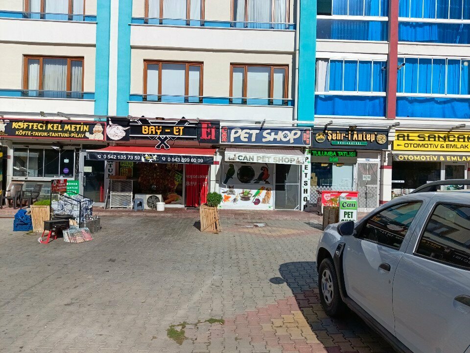 Pet shop Can Petshop, Konya, photo