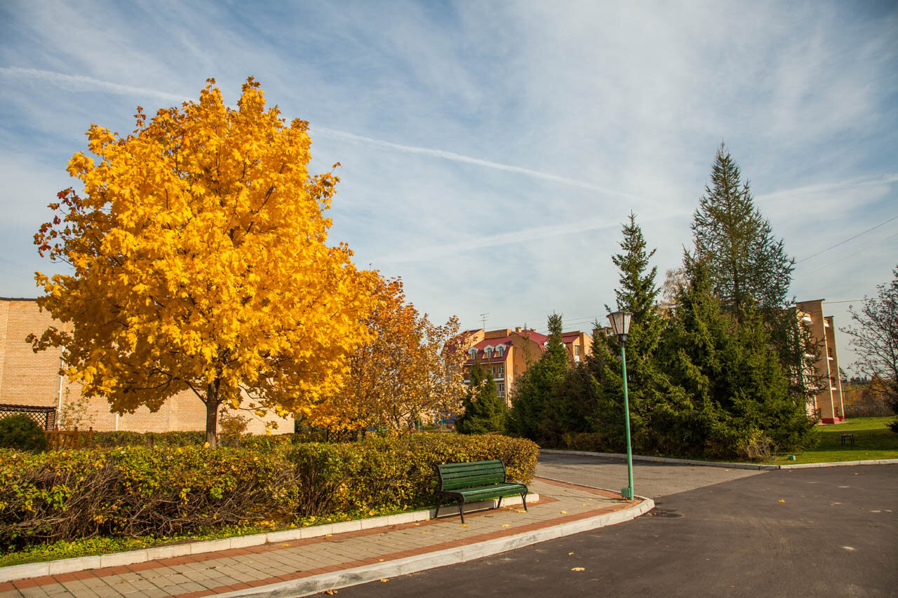 Фото Виктория