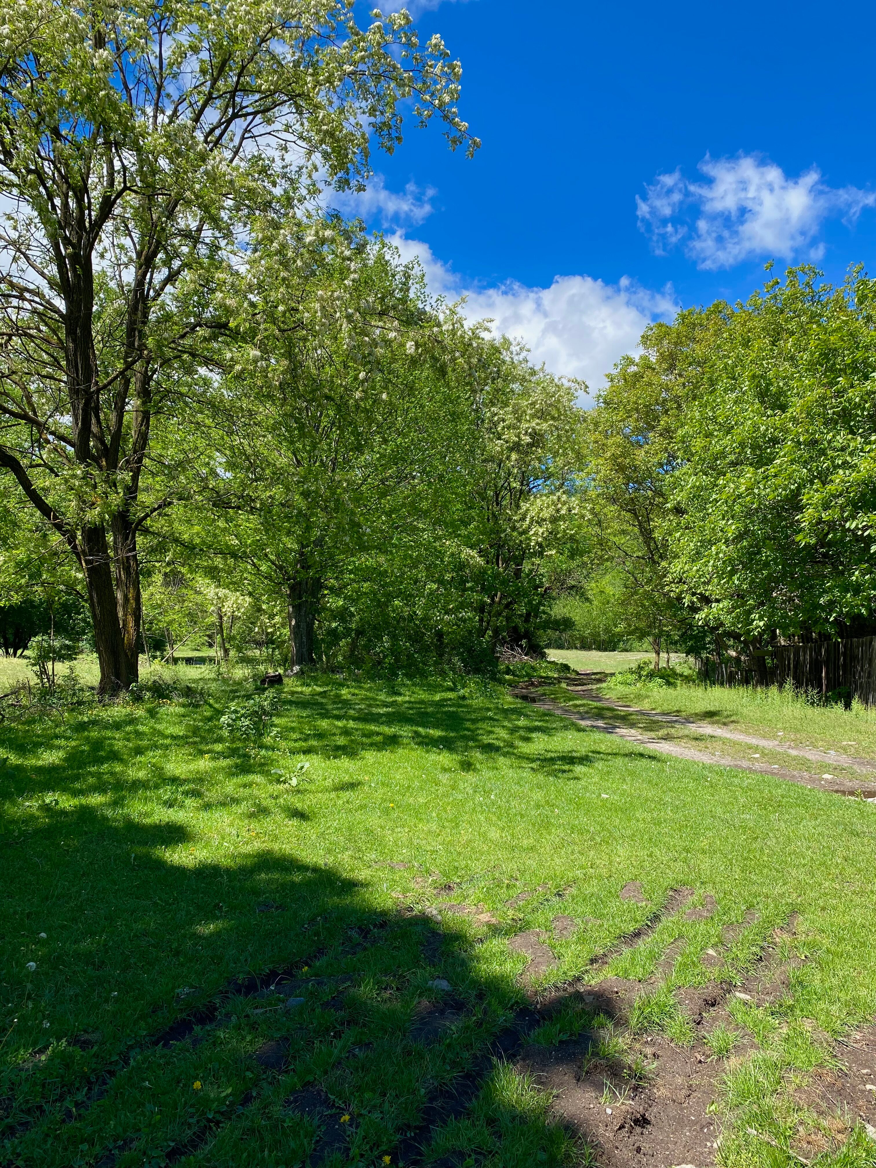 Фото Домик в горах