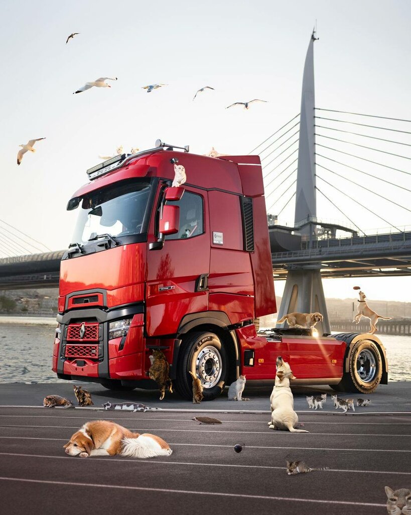 Camiones, equipamiento para camiones Renault Trucks Second Hand Office, , foto