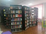 Tnter-settlement Central Library named after Mikhail Vasilyevich Naumov (stanitsa Romanovskaya, pereulok Kozhanova, 45), library