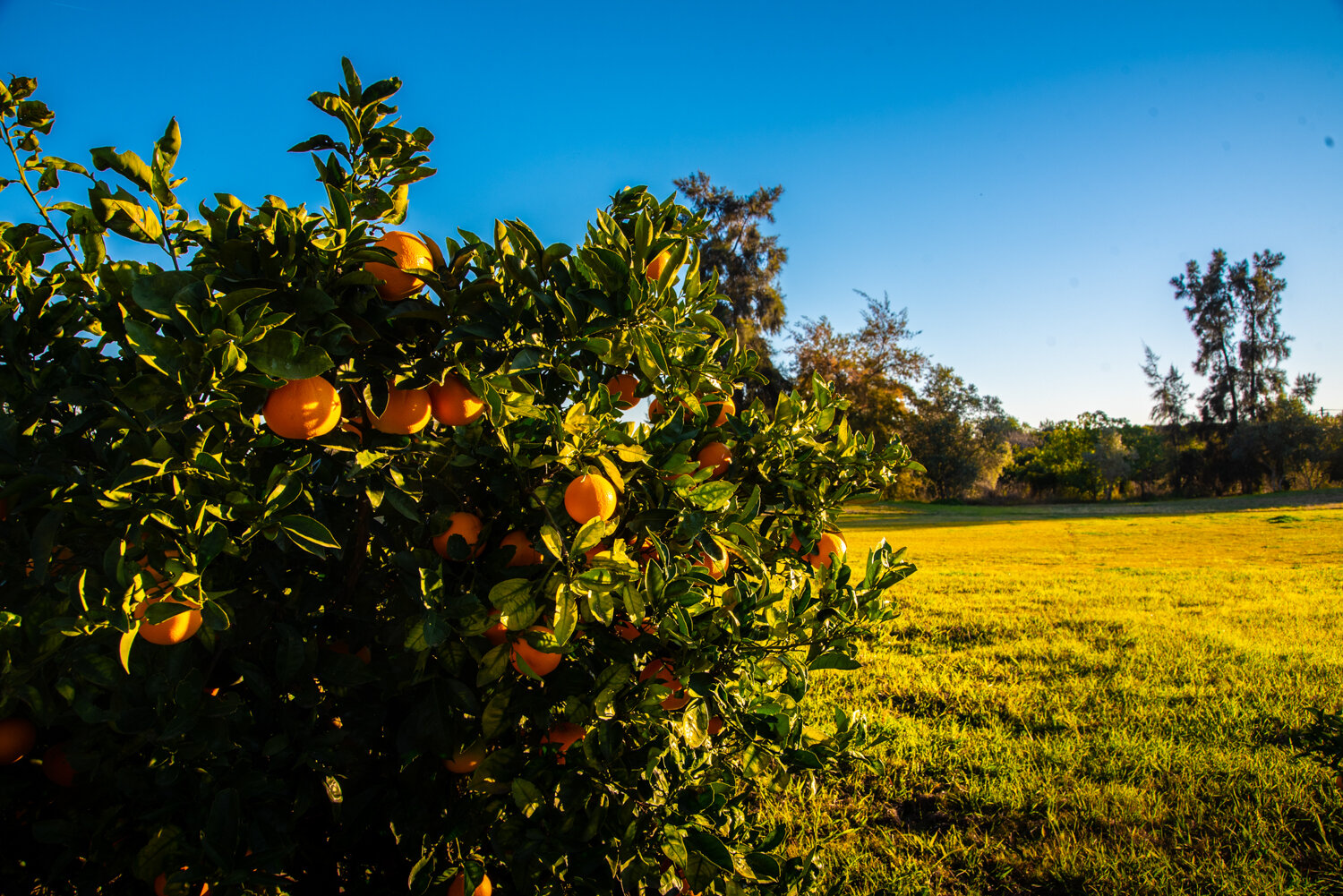 Фото Colina Verde Golf & Sports Resort