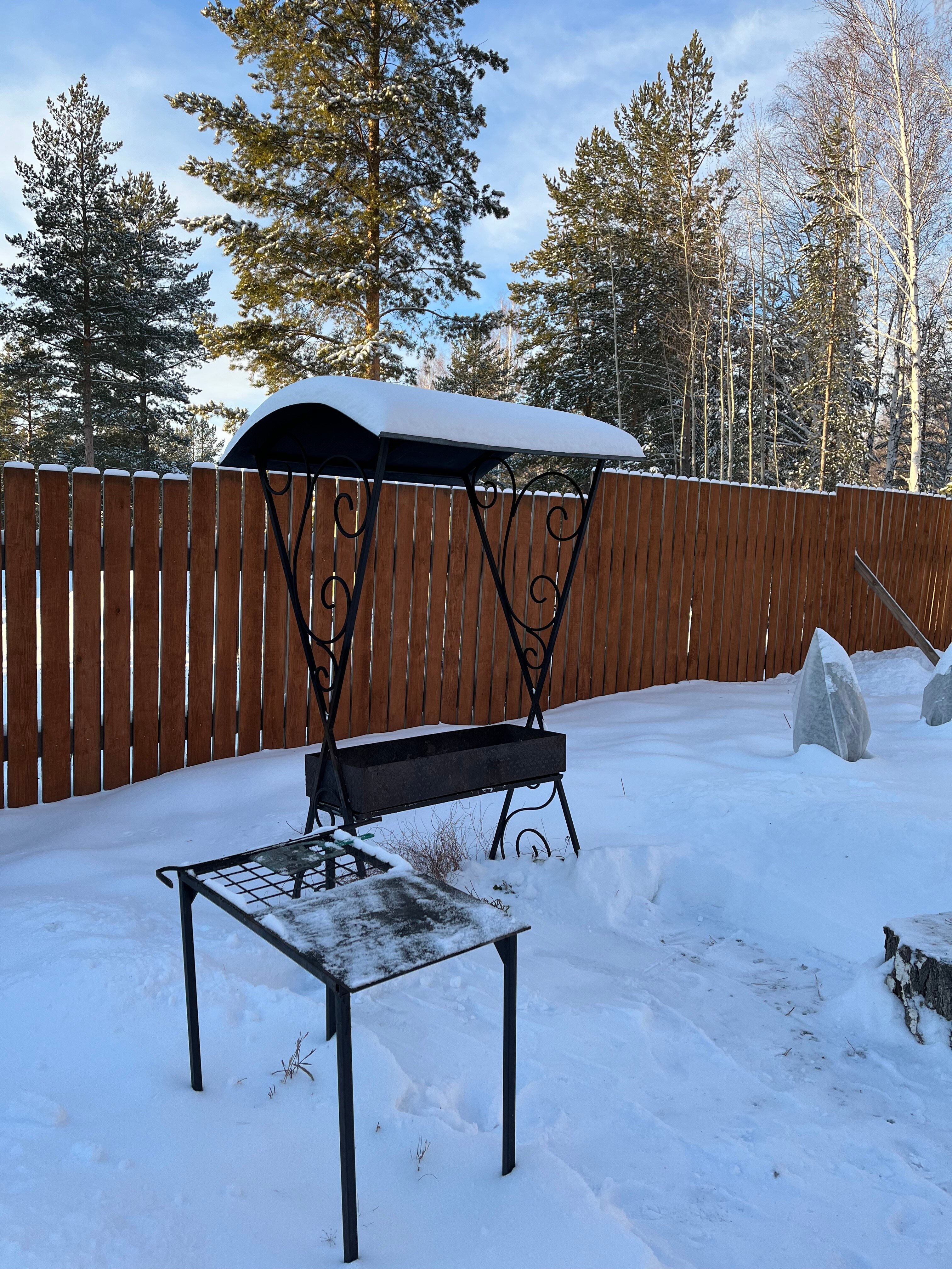 Фото Тихий Кот