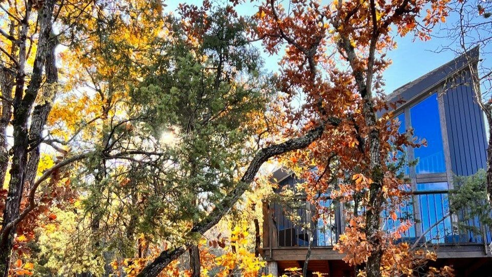 Фото Домики в лесу Шули