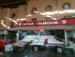 Yaprak Balıkcı Emrah (Konya, Meram, Söylemez Sok., 4), fish and seafood