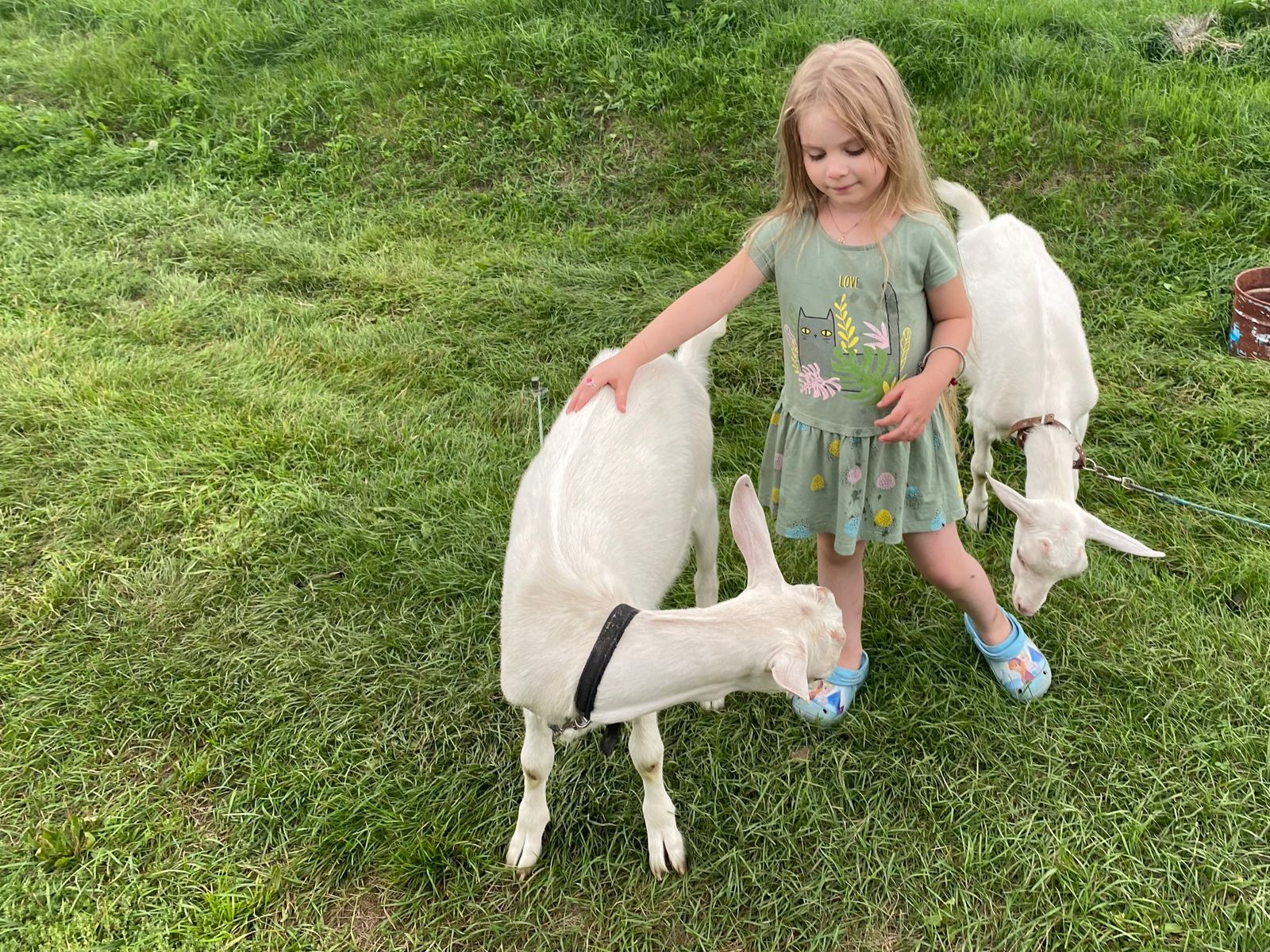 Фото Гостиничный комплекс Красная поляна