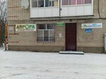 Аврора (ulitsa Ordzhonikidze, 30), clínica dental