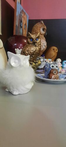 Внешний вид отеля Сова в Ростове-на-Дону, фото 2