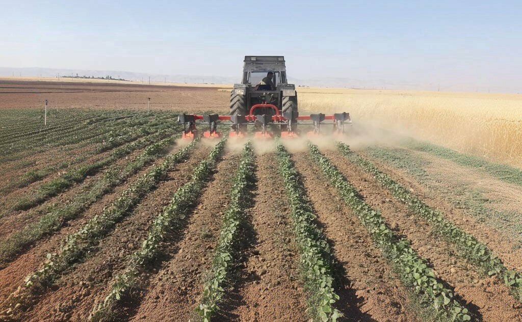 Mukhtars Cagil Koyu Muhtarligi, Kiziltepe, photo