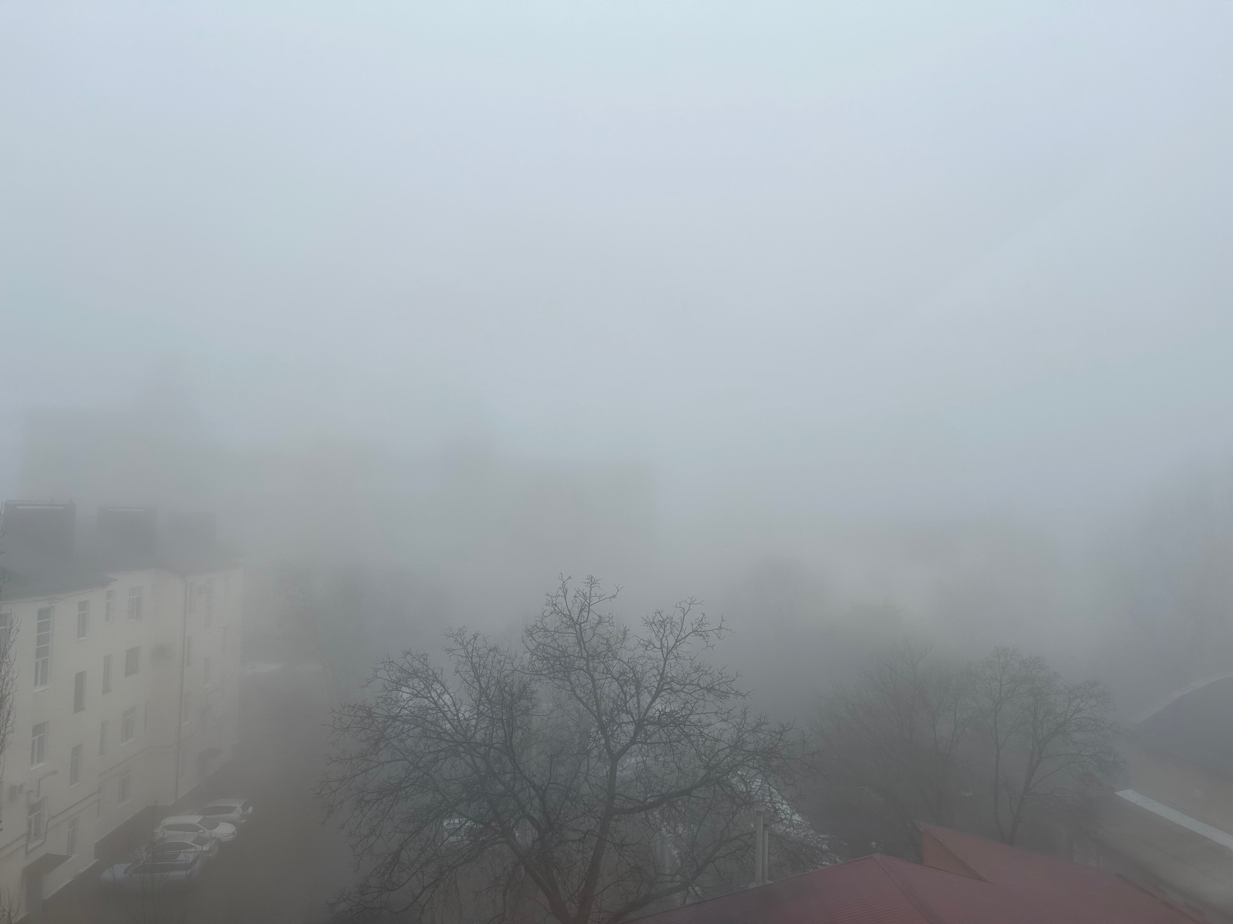 Фото Central Inn Conference Hotel