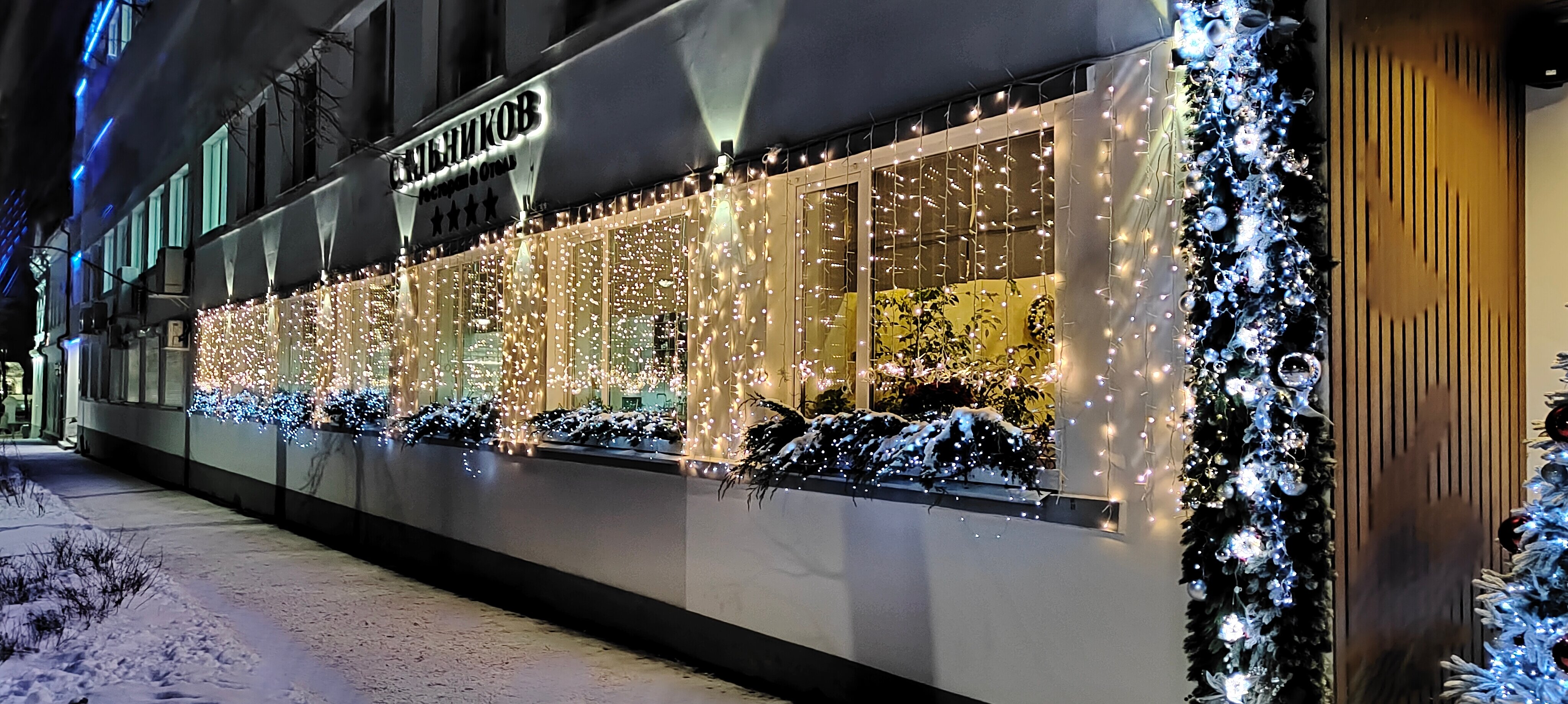 Фото Сальников