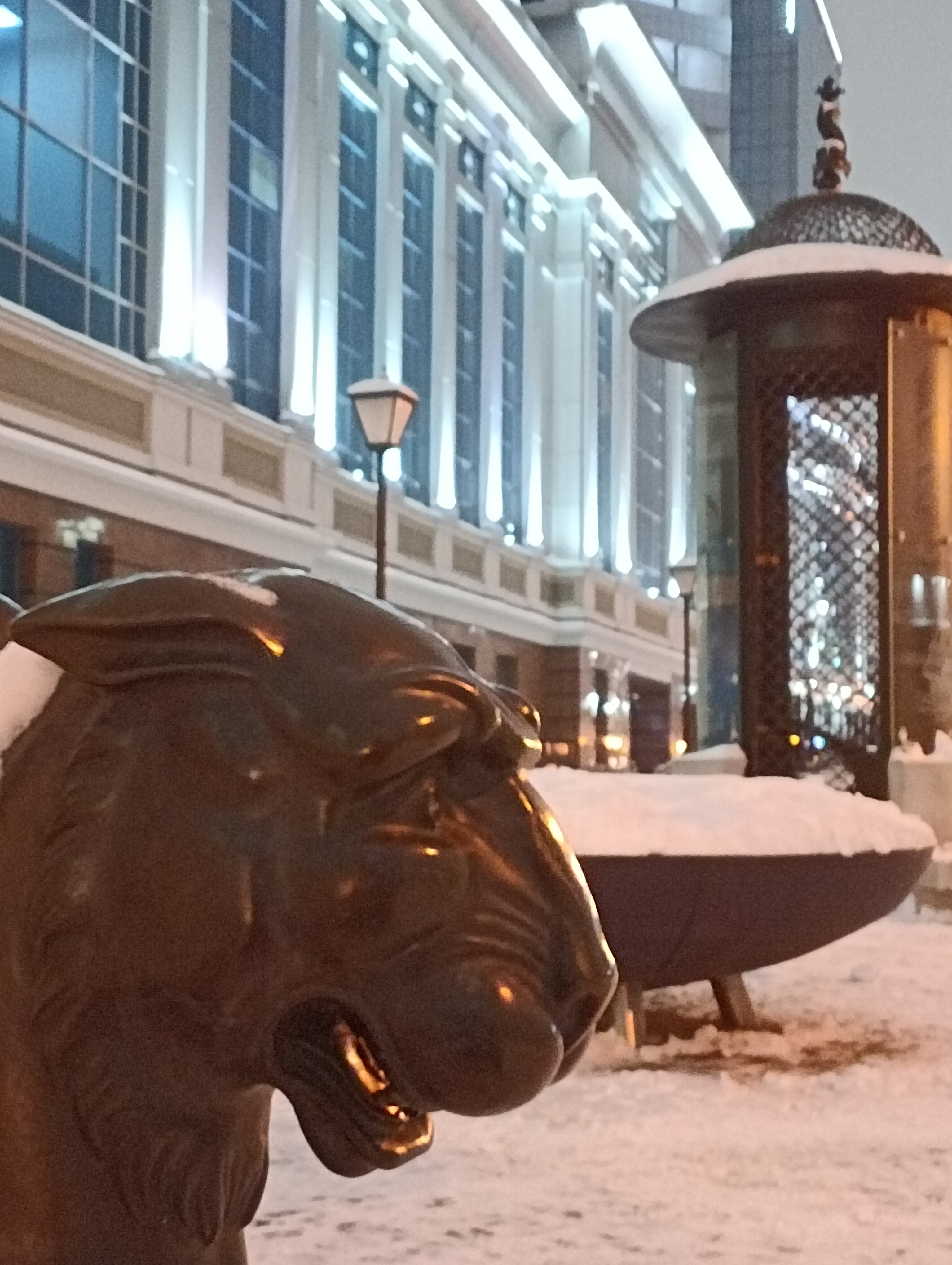 Фото Регина