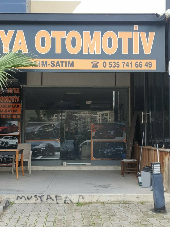 Car dealership Feya Automotive, Izmir, photo
