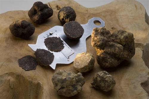 Фото Hotel Holiday