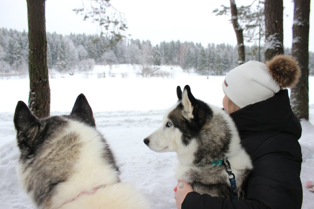 Фото A-frame Весна