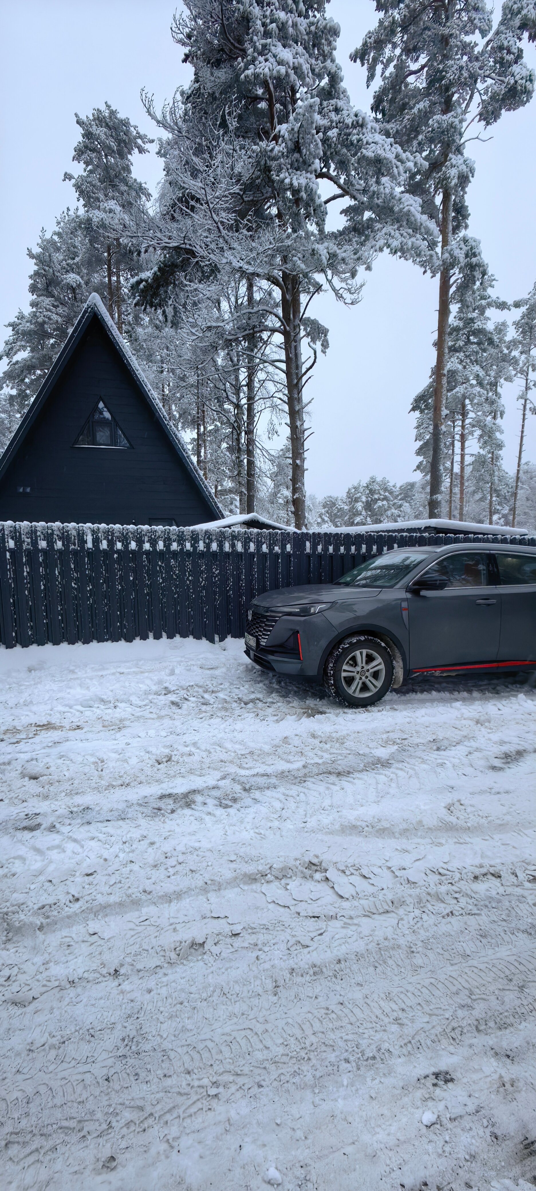 Фото Коттеджный комплекс Сосны