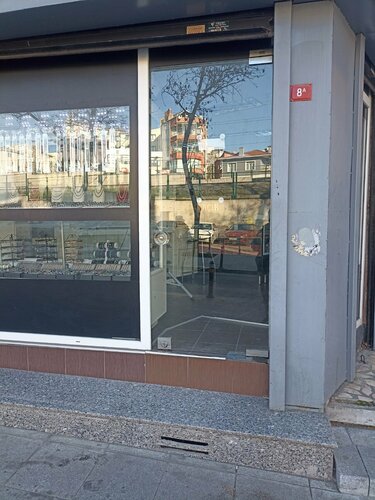 Kartal Gümüş Fotoğraf 2