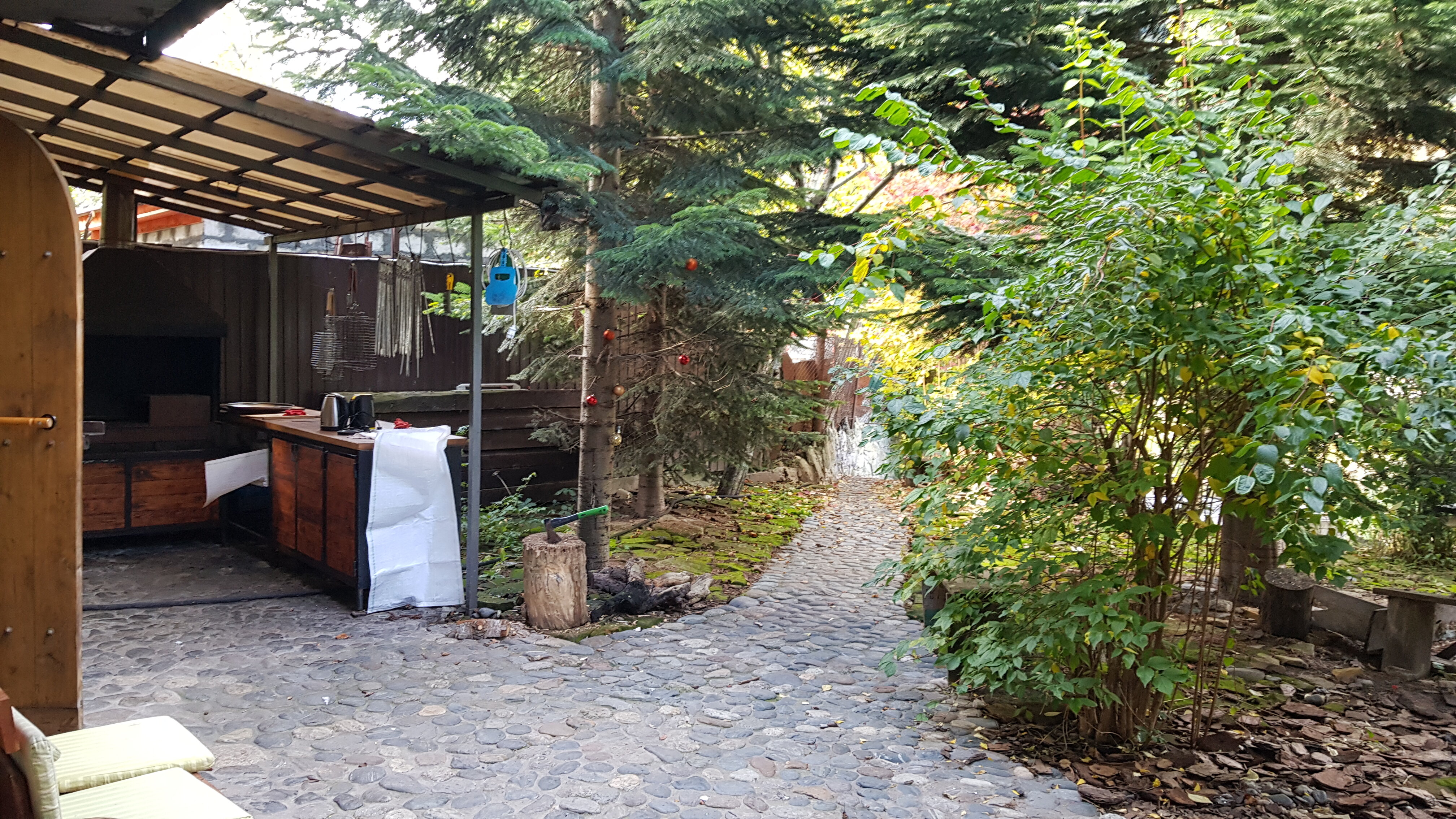 Фото Кипрей