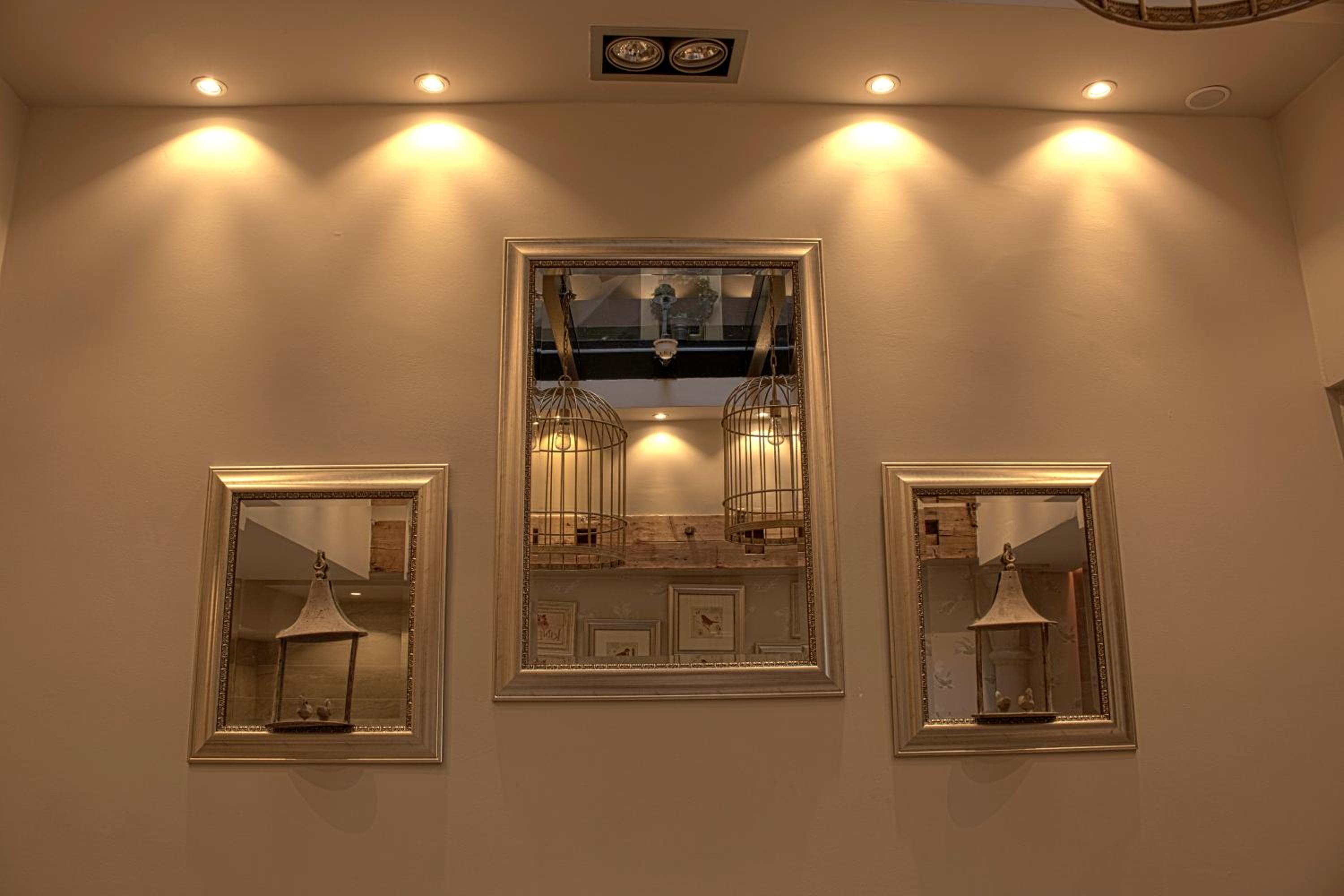 Фото Hotel The Bird