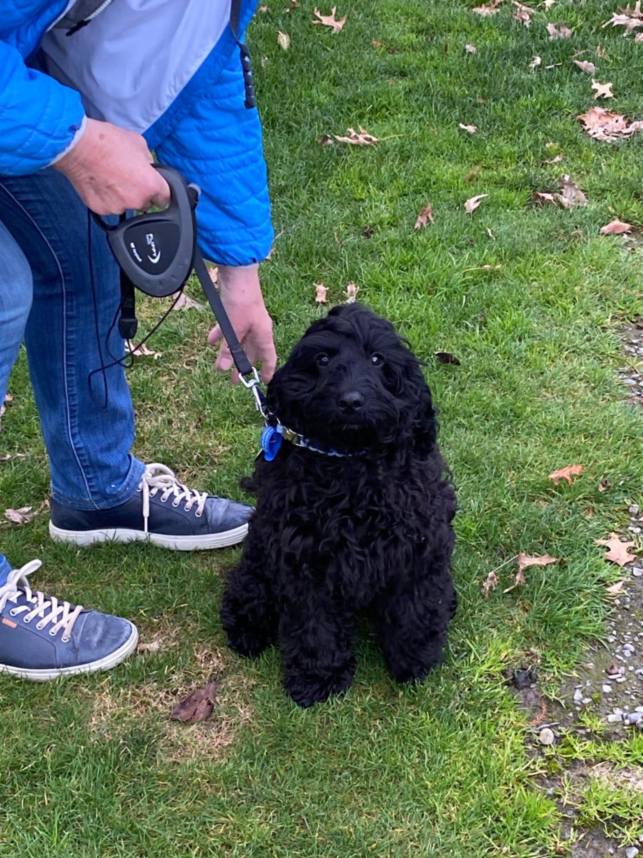 Фото Silverstream Lodge