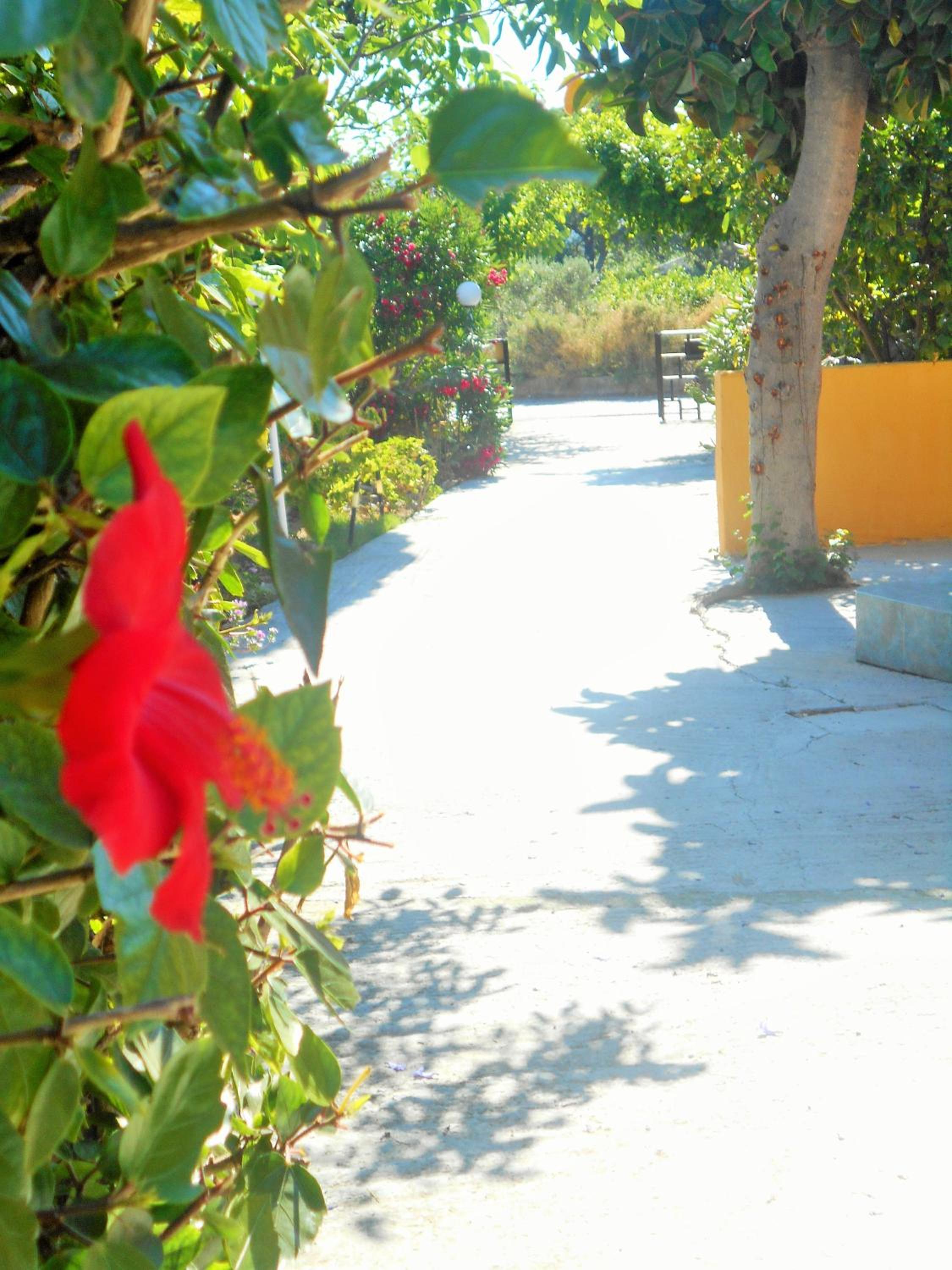 Фото Villa Sofia