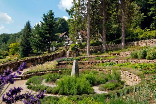 Гостиница Gidleigh Park
