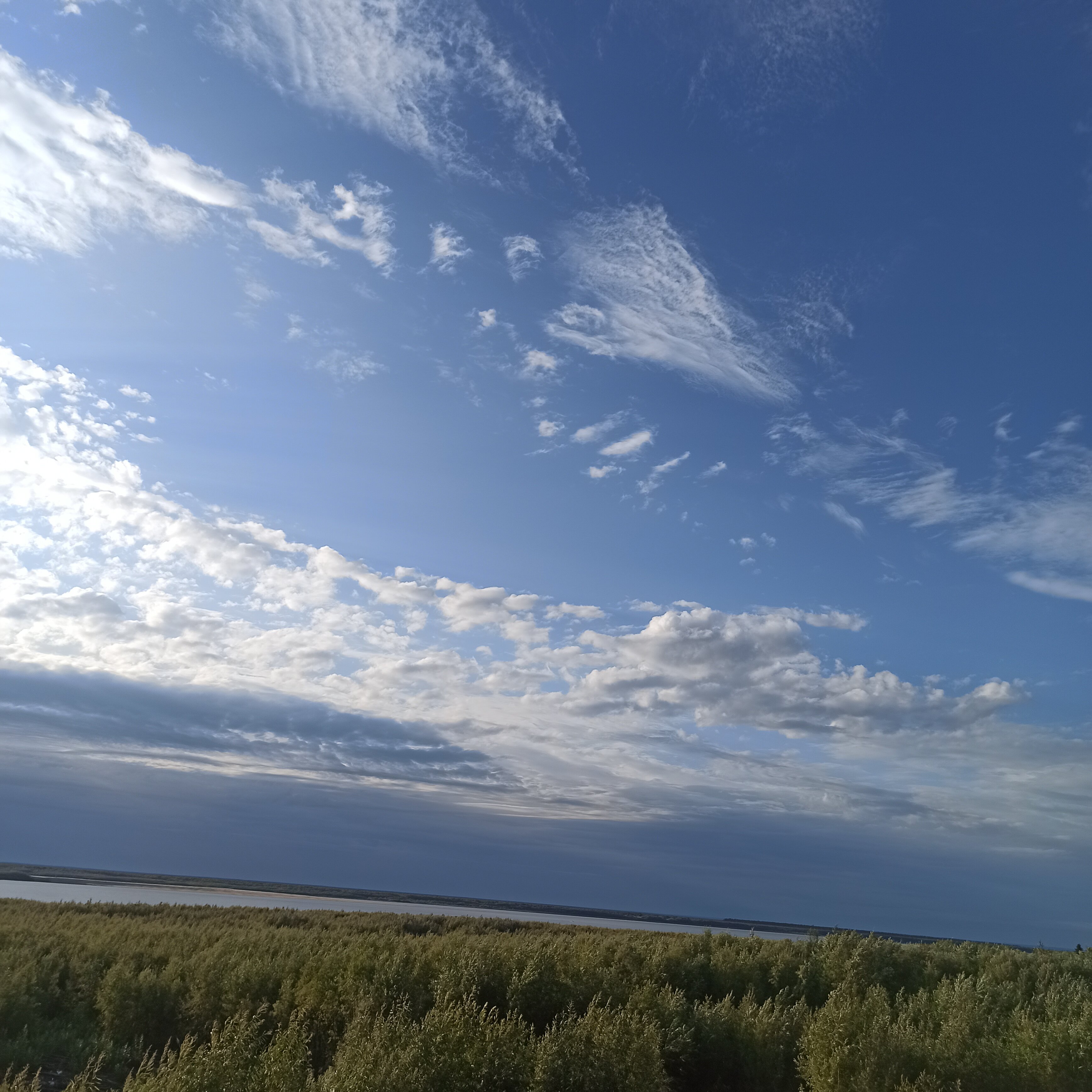 Фото Прасковья